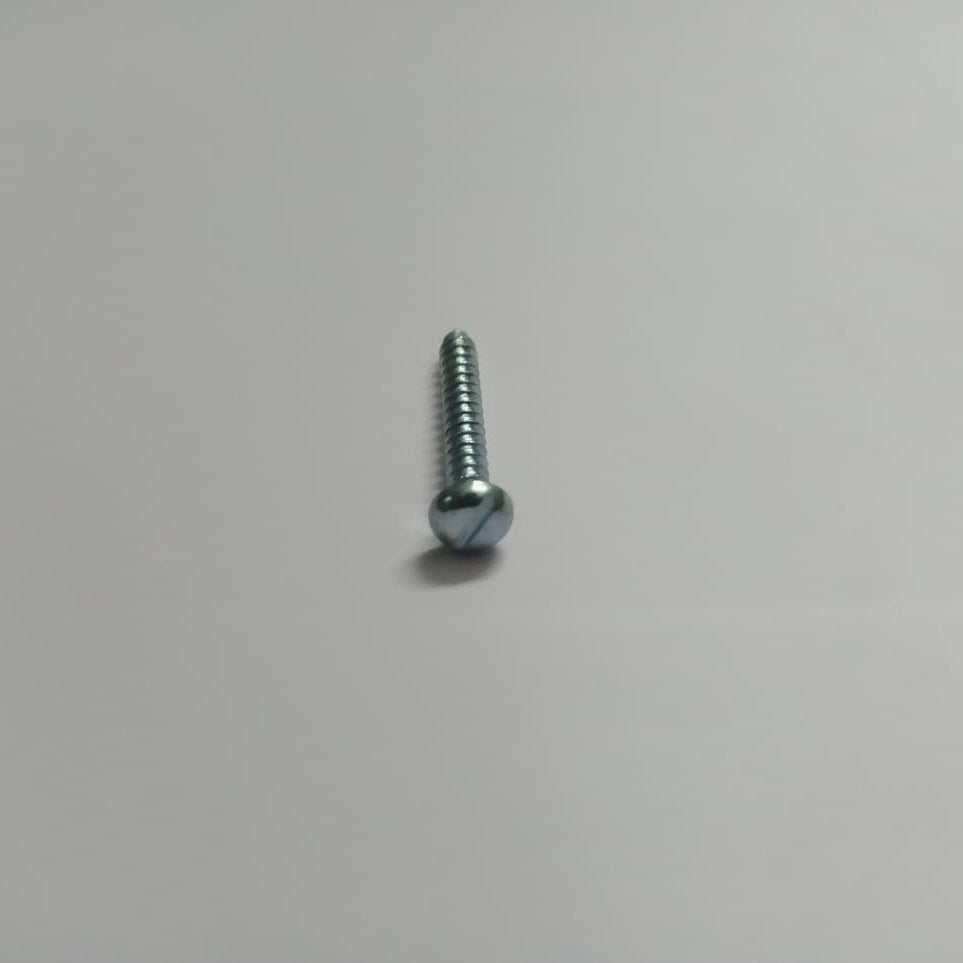 3x19mmSelf-Tapping Screw(pack of 20)